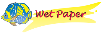 Picture for publisher  Wet Paper Publications